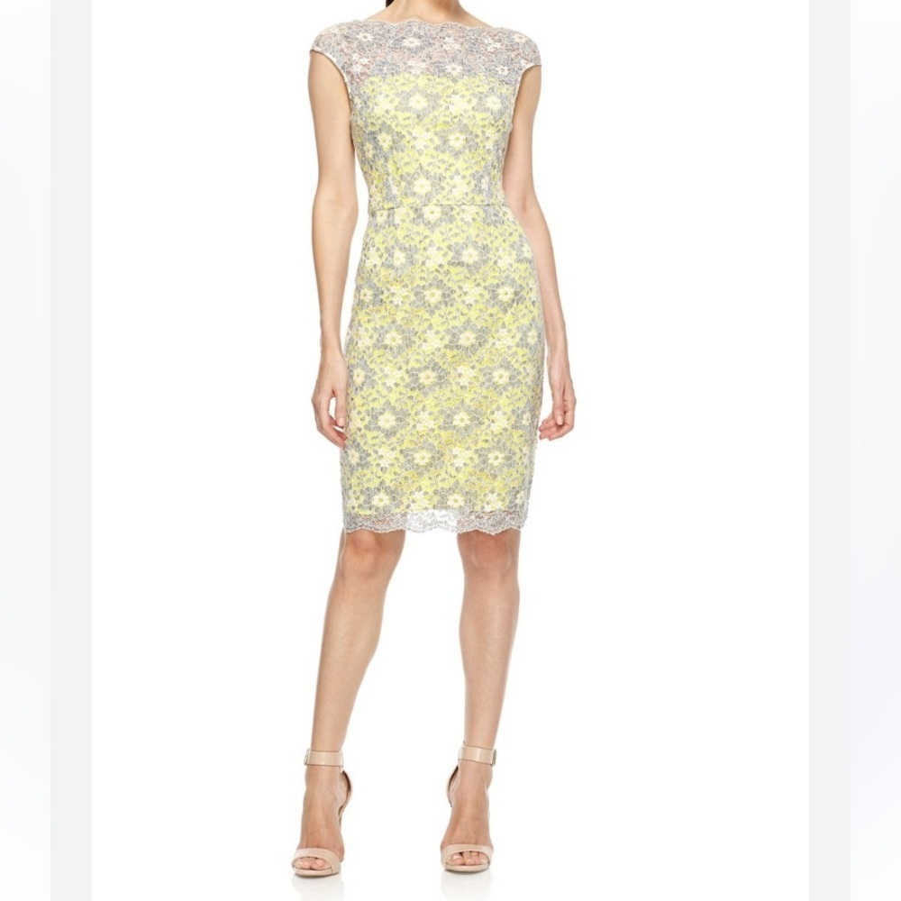 Maggy London yellow and gray Lace Overlay Midi Dress size 8 - Picture 2 of 12